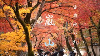 【4K】2023年11月30日嵐山の🍁まだ見頃！！行くなら急ぐべし(・ω・)　#紅葉 #kyoto #京都 #京都観光  #sonyα7iv #カメラ初心者