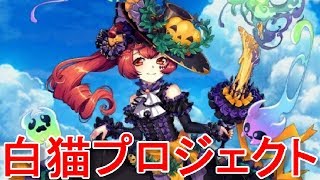【白猫テニス】たしなむ