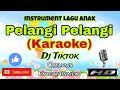 PELANGI PELANGI KARAOKE Versi DJ Instrument Lagu Anak