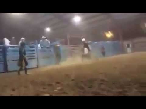 CYBR bull riding