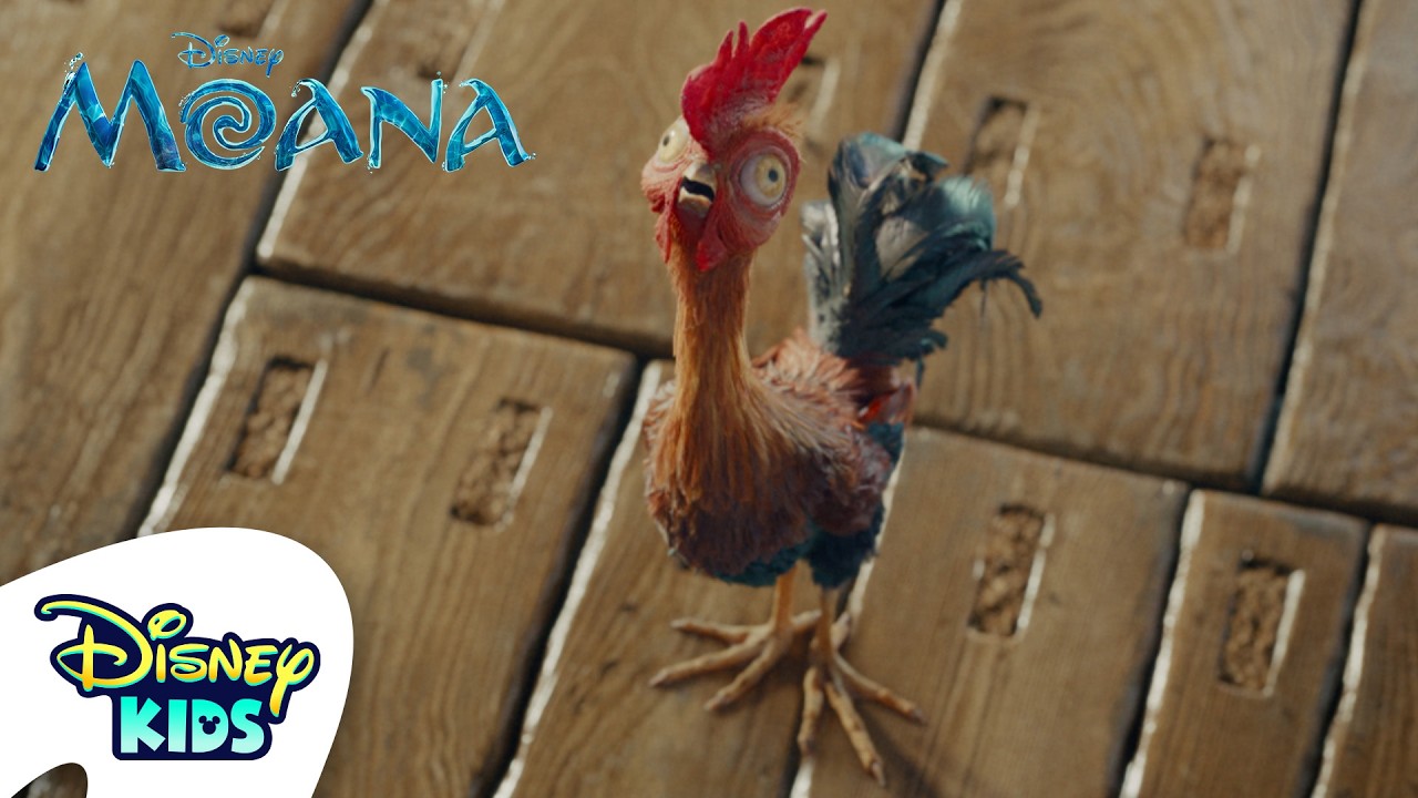 Careful, Heihei!