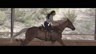 &quot;Baby This and Baby That&quot; OFFICIAL VIDEO