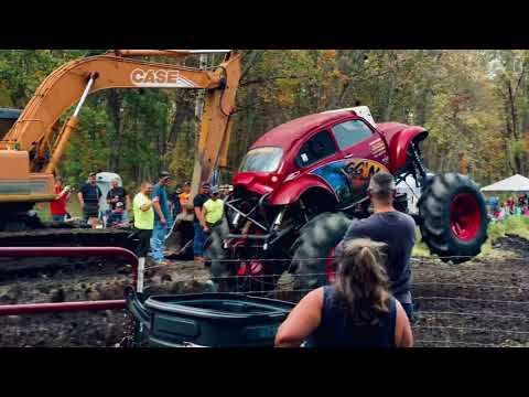 Perkins Fall Bog 2021