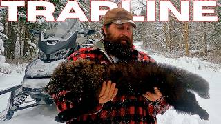 Dream come true Trapline :Episode 44