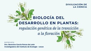 Biología del desarrollo en plantas: regulación genética de la transición a la floración