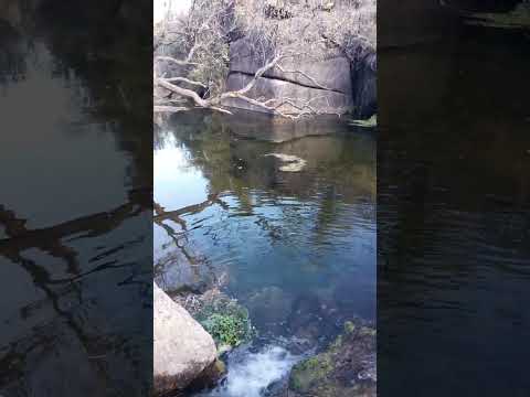 arroyo y cascada mallin Bialet massé cordoba