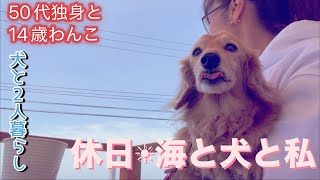休日☀︎海と犬と私【50代独身と14歳わんこ】【犬と2人暮らし】