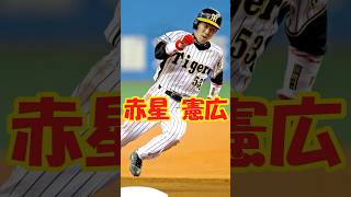 赤い彗星　赤星憲広解説　短縮版　#shorts  #tigers #盗塁王 #赤い彗星 #野球 #プロ野球