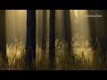 SECRET GARDEN - When Darkness Falls