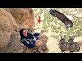 ️ Ismat Finds Baby Rabbits In The Zagros Wild Herbs Heartwarming Family Moments