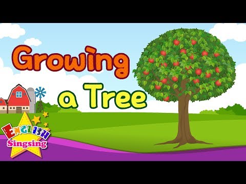 Kids vocabulary - Growing a Tree - Learn English for kids - English educational video