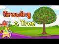 Kids vocabulary - Growing a Tree - Learn English for kids - English educational video