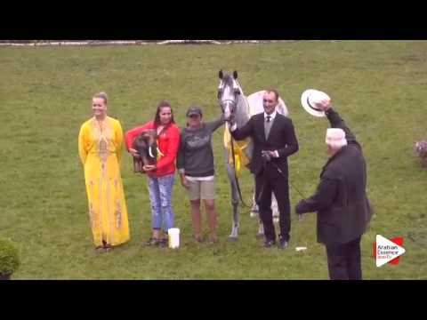 1st place e.s harir strohen gold championship 2015