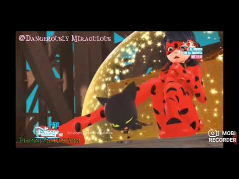 Kwamis Using Their Powers Without Holders ~Comparison~