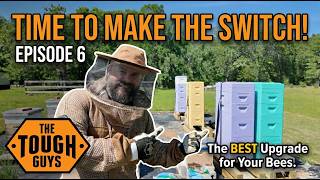 How to Move your Bees to a Primal Bee Hive! FULL PROCESS! Episode 6