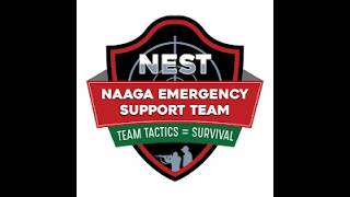 What Gun Should you have for your NEST ?