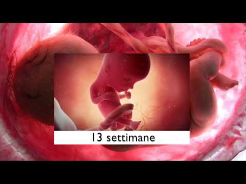 Medicine da vermi per risposte di cuccioli Perché parassita mukor