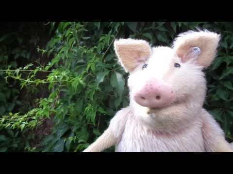 Rosalie motiviert Jogis Jungs