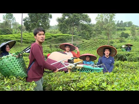 Nyobain Metik Daun Pakai Mesin, Pala Anwar Pusyiing (2/4) - SIAP BOSS!!!