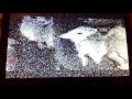 PBS Kids Program Break 2016 WEDU LOW QUALITY AND SOUNDLESS
