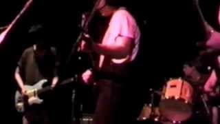 Tiger Trap "Puzzle Pieces" @ Catal Huyuk, Houston TX 06/09/93