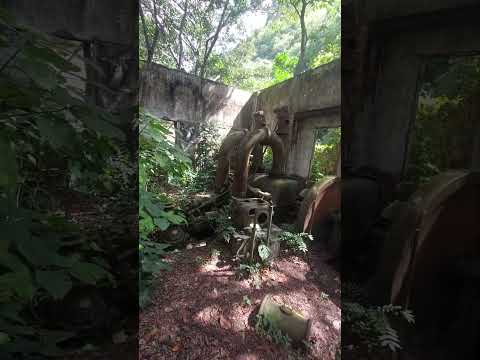 La historia de la hidroeléctrica de El Hatillo, también conocida como El Encantado.