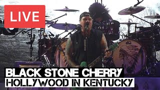 Black Stone Cherry - Hollywood in Kentucky Live in [HD] @ SSE Wembley Arena - London 2014