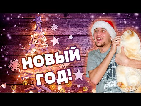 As guys, girls and cat celebrate the New Year 2007