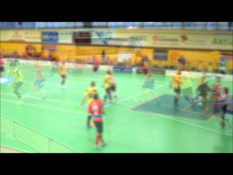 Maalikooste PSS   HIFK