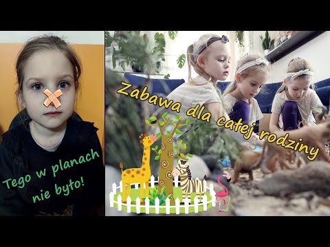 Trafiliśmy do szpitala - kiepski koniec fajnego dnia | Miniaturowy świat zwierząt