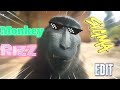 Rizz Monkey 4K EDIT Remake