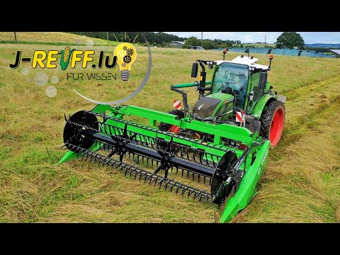 Reiff für Wissen Teil 4: Grassamenanbau | Ernte und Anbautechnik  (Lohnunternehmen Reiff)