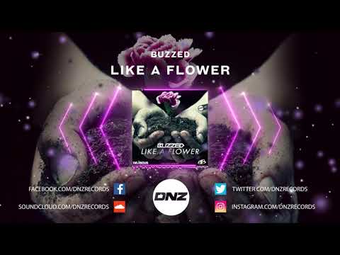 DNZ372 // BUZZED - LIKE A FLOWER (Official Video DNZ Records)