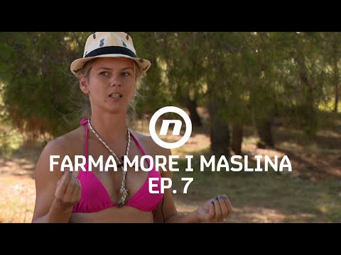 Dora razotkrila motive - Epizoda 7 | Farma More i Maslina