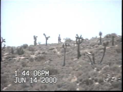 The Cammo Dudes Are Watching Us Watching Them at Area 51 ! Video