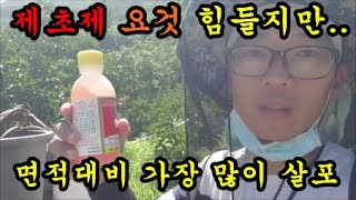 제초제약을 가장적게 사용해서 살포하는 방법