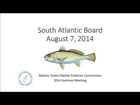 ASMFC SouthAtlBoard Aug2014