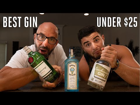 What's the best GIN on a budget? (Liquor under $25)