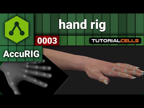 0003. hand rig in AccuRIG