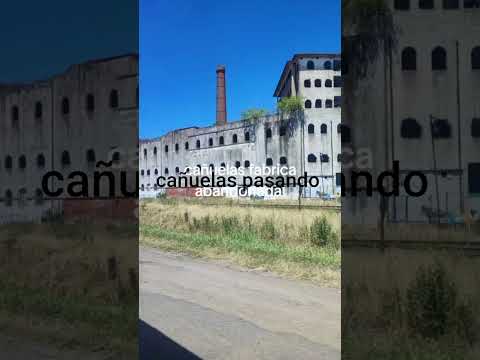 el random el vikingo está vacaciones cañuelas pasa buenos Aires