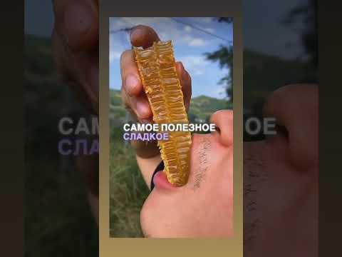 23 апреля 2026 г.