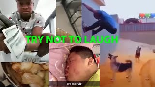 TRY NOT TO LAUGH (FUNNY MOMENTS) | BEST COMPILATION