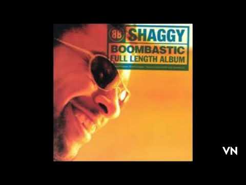 Shaggy - The Train Is Coming.