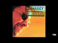 Shaggy - The Train Is Coming.