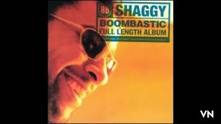 Shaggy - The Train Is Coming.