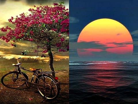 TWO OCCASIONS - (Lyrics)