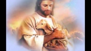 THE HOLLIES-&quot;WHY DIDN&#39;T YOU BELIEVE&quot;(VINYL + LYRICS)