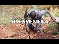 MWAYENELA Promise Yassin Ft Bishop C Chingwalu
