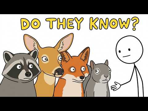 Do Wild Animals Know When a Human Is Helping Them?