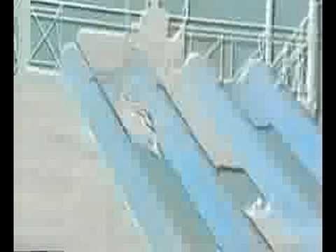 Lifeguards - Socorristas